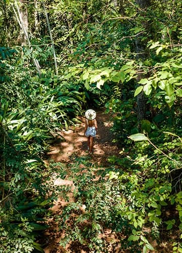 Outra foto de natureza