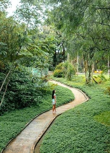 Outra foto de natureza